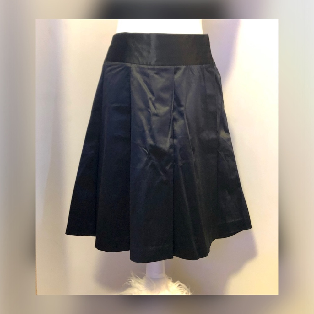Black skirt